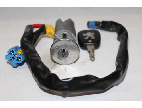 Neiman Peugeot 206 N0501539