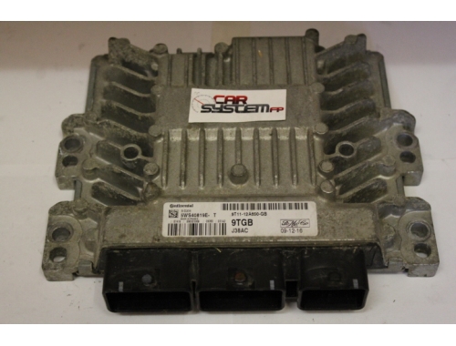 Centralina Motore Ford Transit FoMoCo