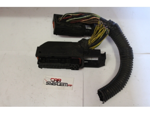 Faisceaux électriques Calculateur moteur Smart Fortwo 600 BOSCH: 0261205005