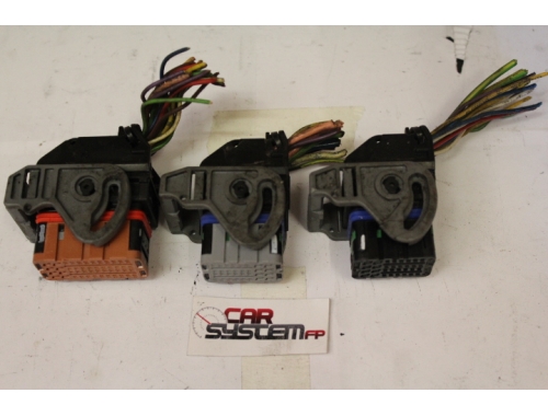 Cablaggi Centralina Motore Peugeot 307 BOSCH:0281011785