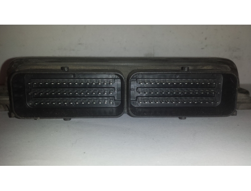 Centralita de motor Renault Scenic SIEMENS:S110138000
