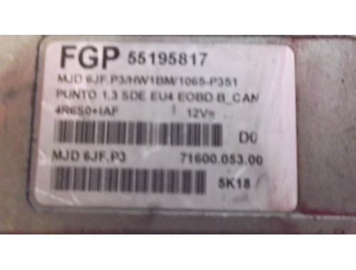 Motorsteuergerät Fiat Punto FGP:55195817